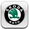 Ангельские глазки на Skoda